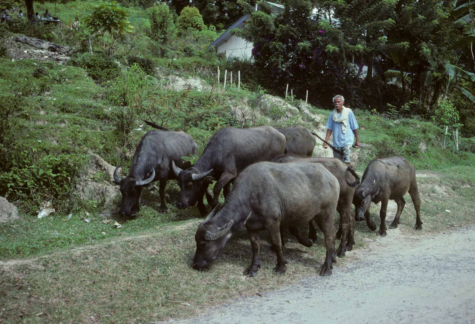 <span style="font-family: Verdana; font-size: 16px; color: ">Karbouwen uitlaten</span>