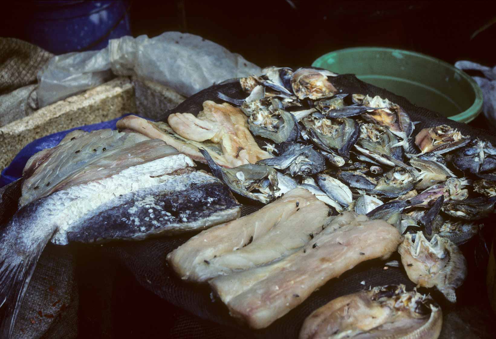 <span style="font-family: Verdana; font-size: 16px; color: ">Vismarkt in Jakarta</span>