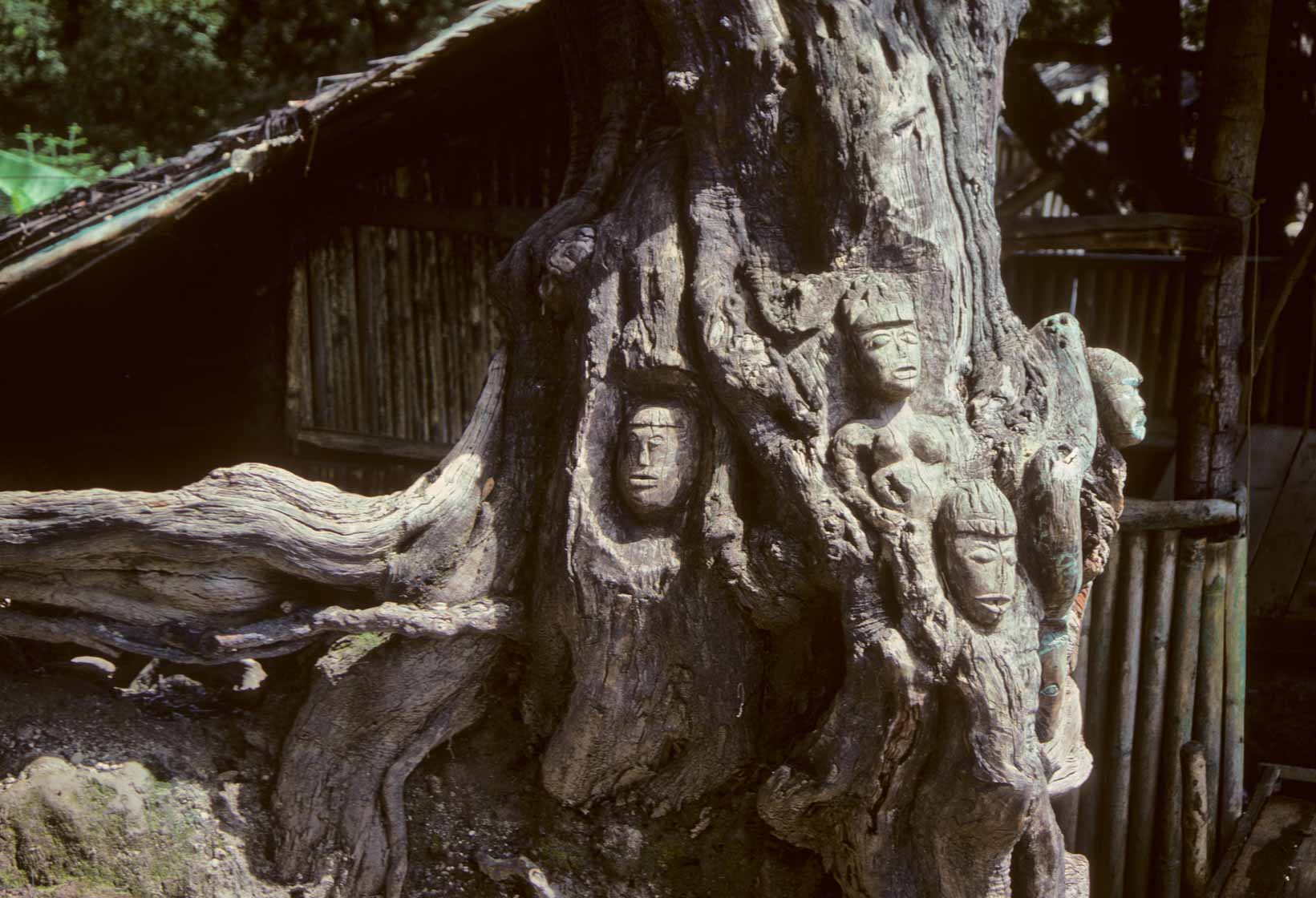 <span style="font-family: Verdana; font-size: 16px; color: ">Houtsnijwerk</span>