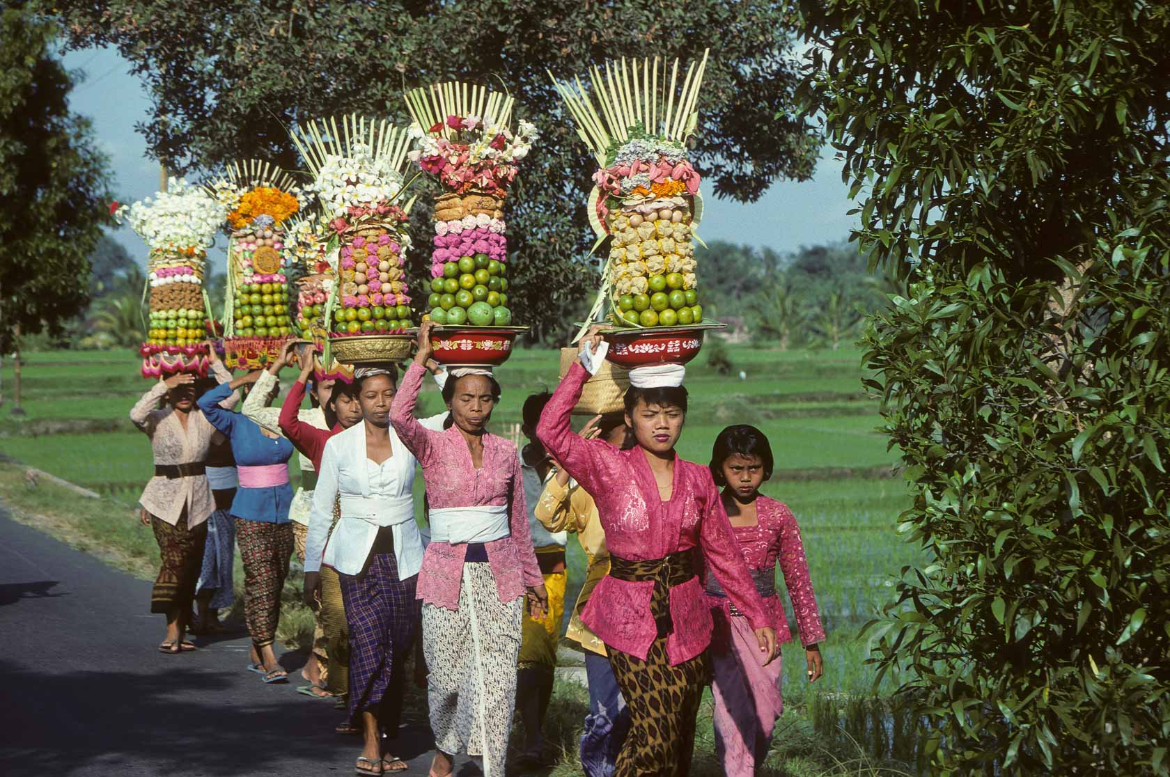 <span style="font-family: Verdana; font-size: 16px; color: ">Offers van fruit en bloemen</span>