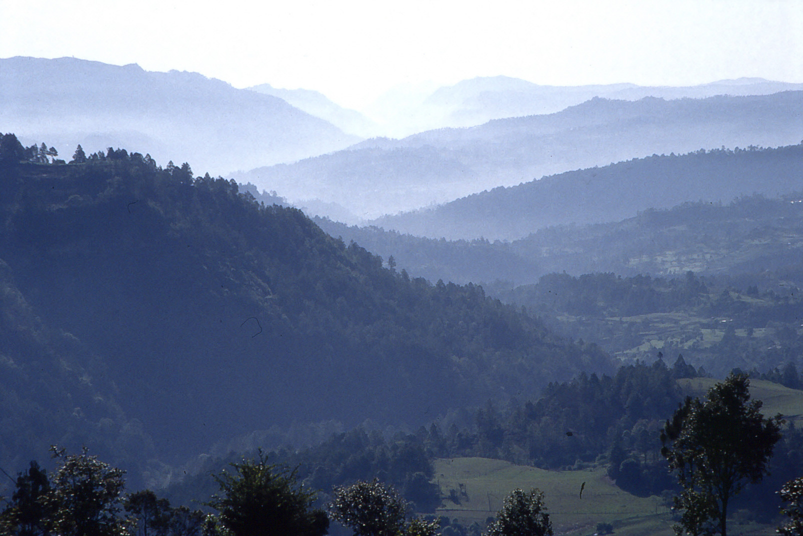 <span style="font-family: Verdana; font-size: 16px; color: ">Landschap onderweg</span>