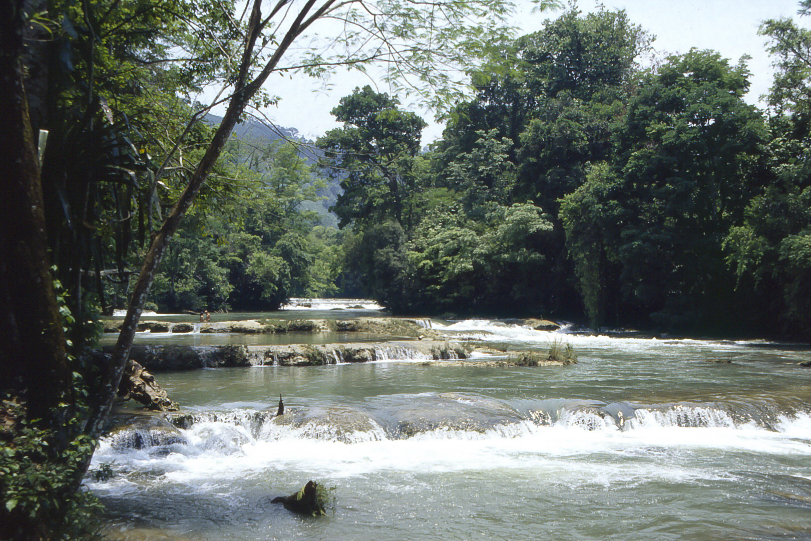 <span style="font-family: Verdana; font-size: 16px; color: ">Aqua Azul</span>