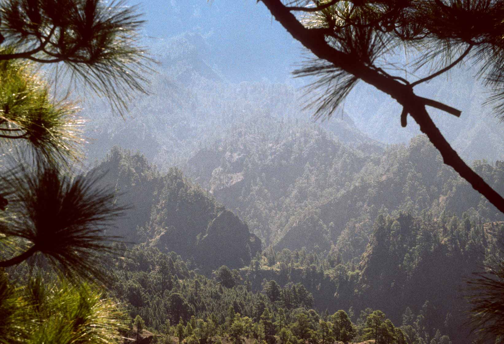 <span style="font-family: Verdana; font-size: 16px; color: #FFFFFF;">Caldera de Taburiente</span>