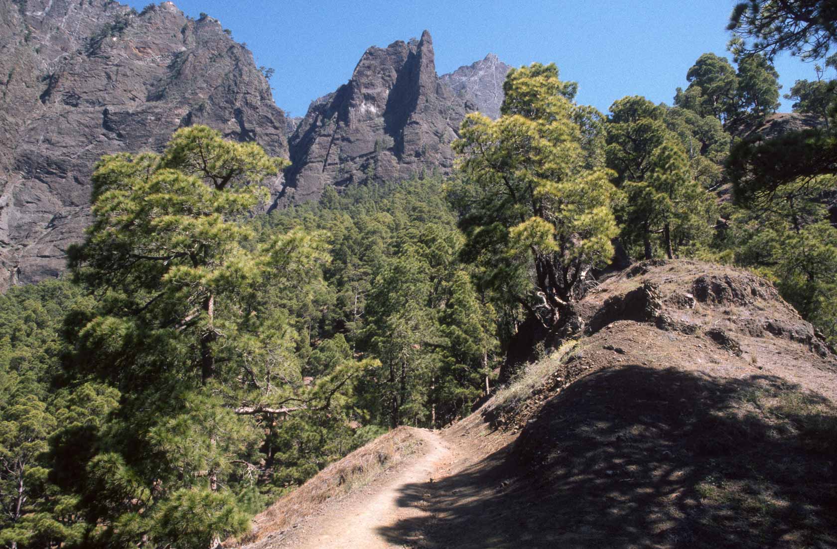 <span style="font-family: Verdana; font-size: 16px; color: #FFFFFF;">Caldera de Taburiente</span>