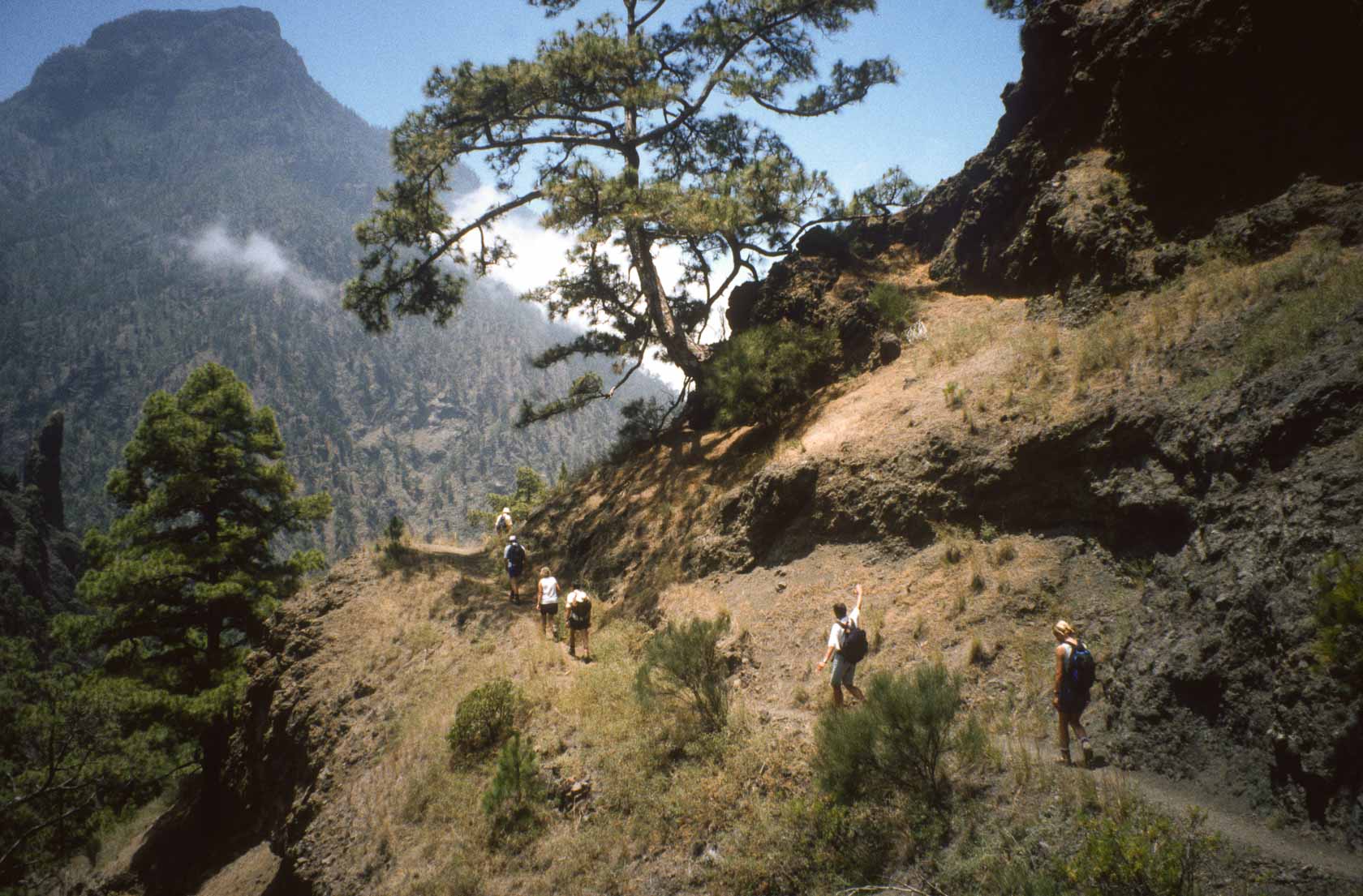 <span style="font-family: Verdana; font-size: 16px; color: #FFFFFF;">Caldera de Taburiente</span>