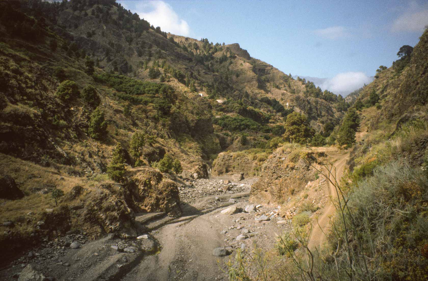 <span style="font-family: Verdana; font-size: 16px; color: #FFFFFF;">Caldera de Taburiente</span>