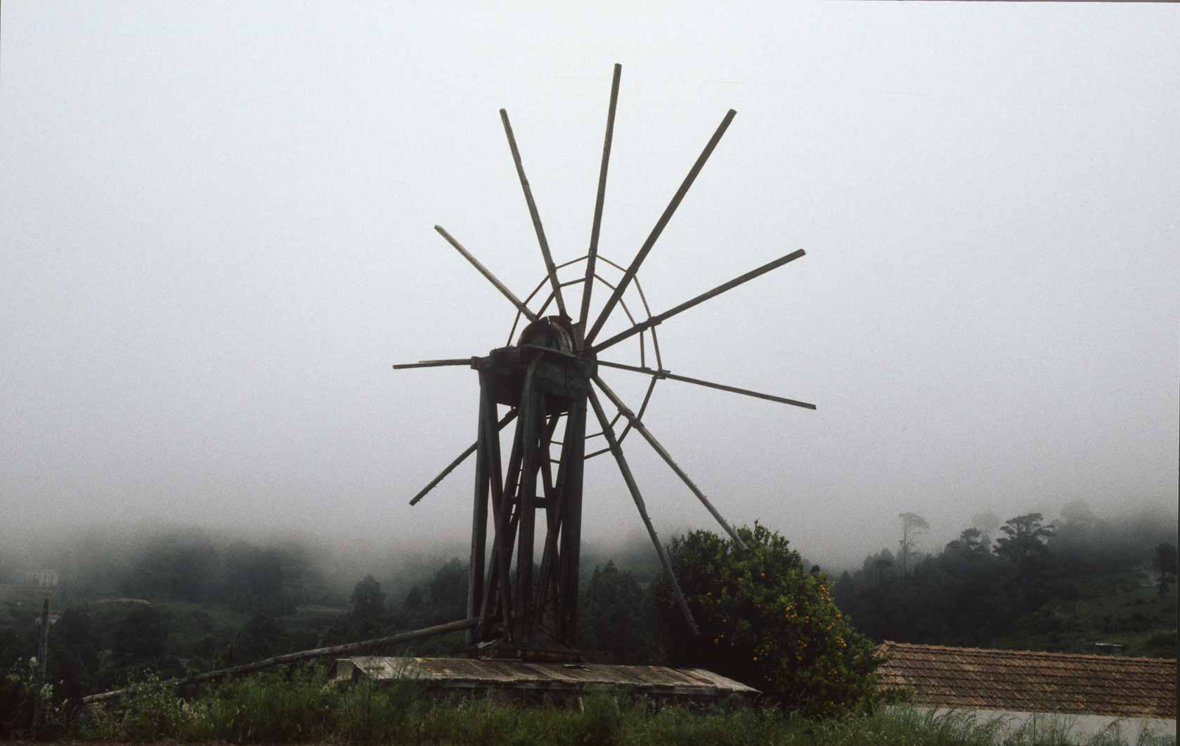 <span style="font-family: Verdana; font-size: 16px; color: #FFFFFF;">Molentje in de mist</span>