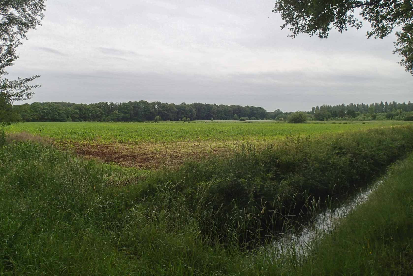 <span style="font-family: Verdana; font-size: 16px; color: #000000;">Veld bij de Soerense beek</span>
