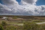 Uitkijk richting Westerplas, Schiermonnikoog